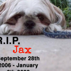 Meet your Posher, Maurora